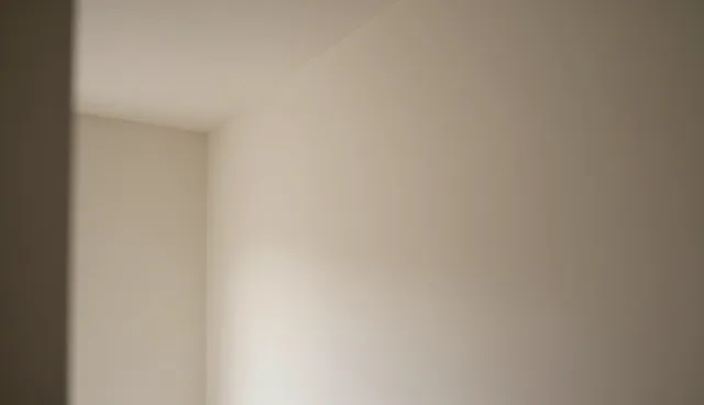 建筑验收服务中两种常见做法的比较与取舍